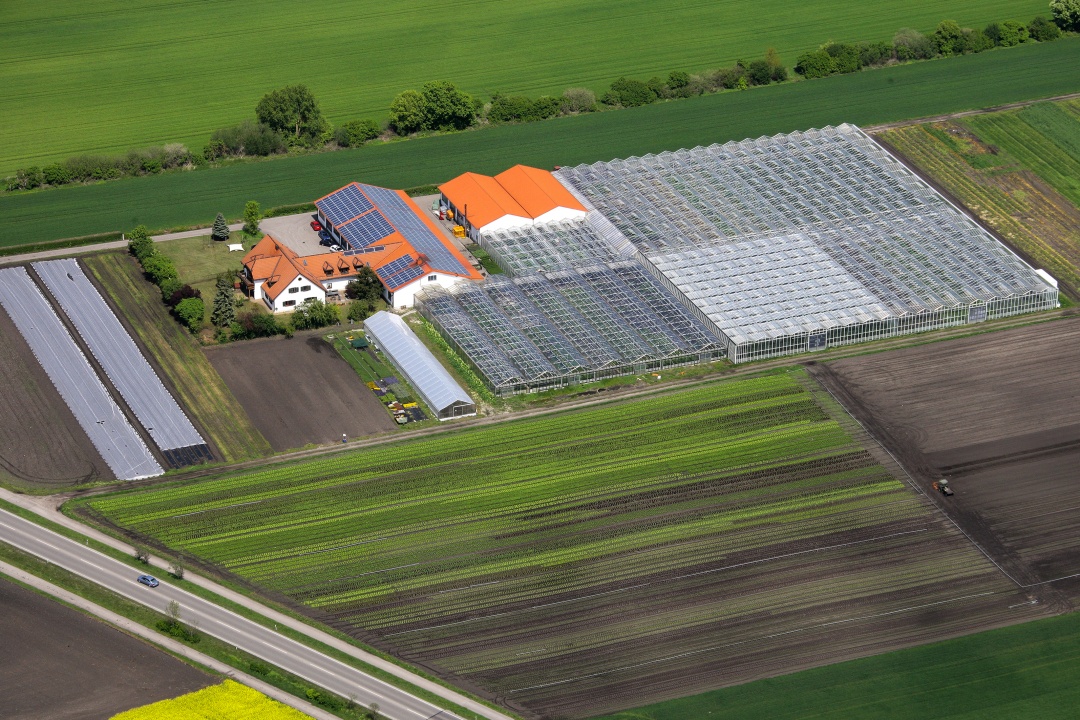 Kiening Gemüsebau GbR