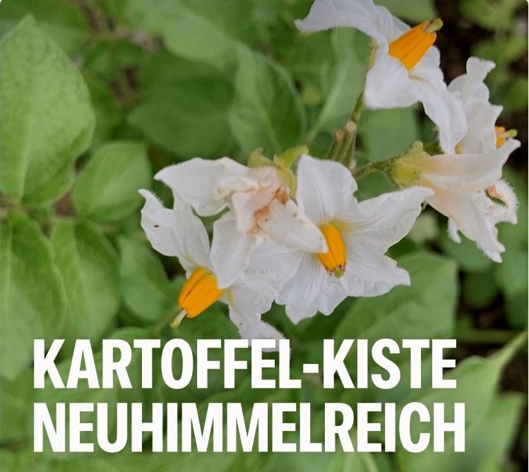 Kartoffel-Kiste-Neuhimmelreich