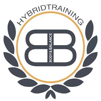 Hybrid Training